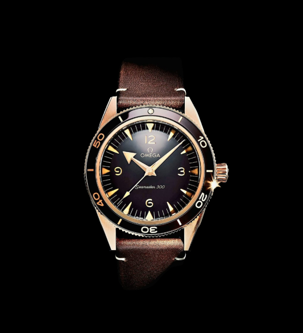 OMEGA Seamaster 300 Co-Axial Master Chronometer 41mm Luxury Watch