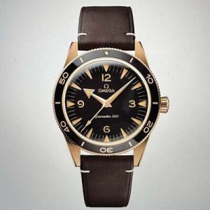 OMEGA Seamaster 300 Co-Axial Master Chronometer 41mm Luxury Watch